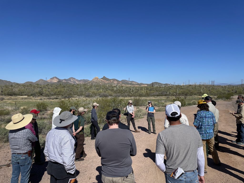 People standing outside in the Sonoran Desert during Southwest Fire Science Consortium's 2024 Field Trip