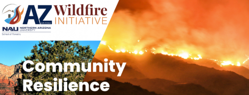 Read more about the article Community Resilience Flyer