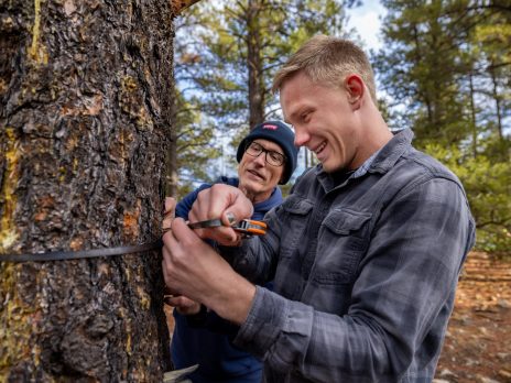 Accelerated B.S. in Forestry to Masters of Forestry