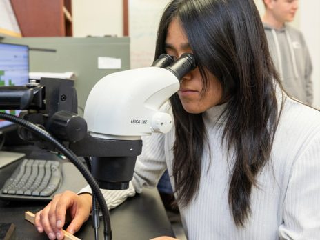 Master of Science in Forestry