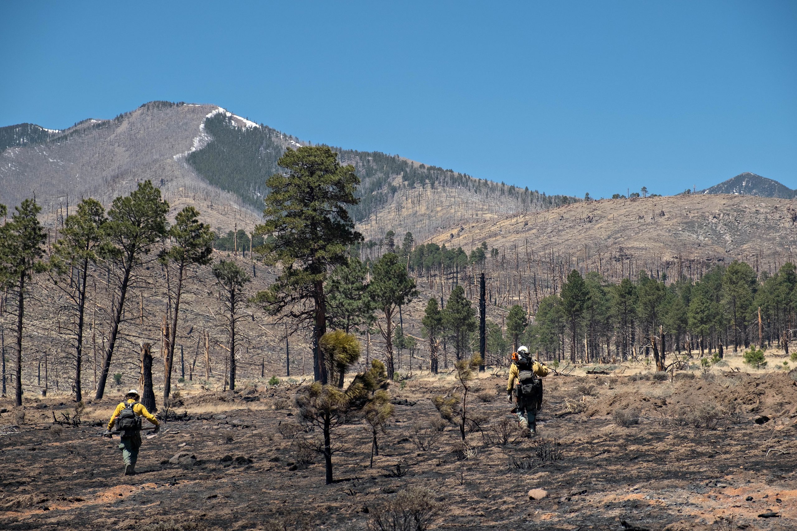 Fire fighters walk through Tunnel Fire burn scar