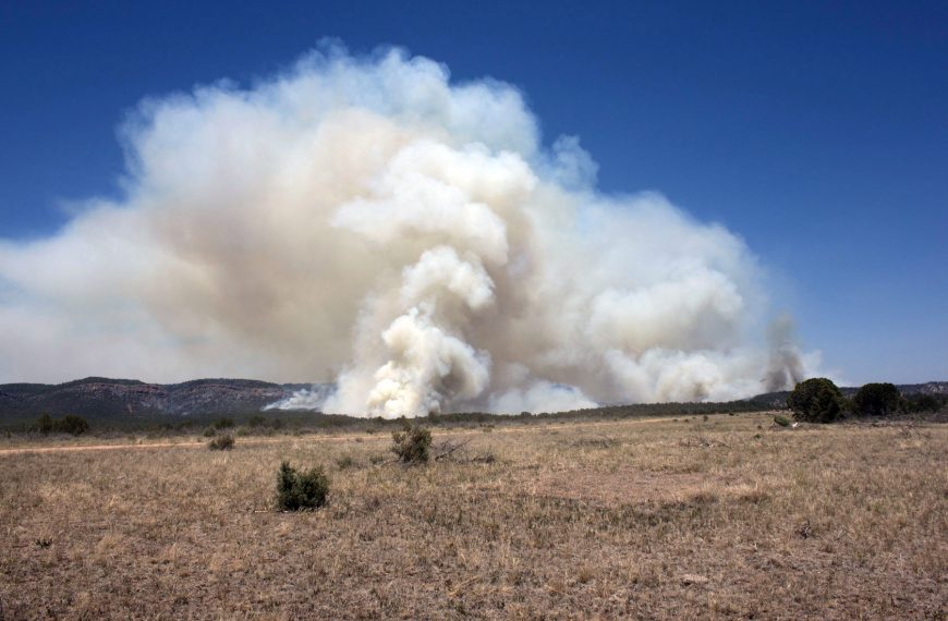 Smoke from wildfire on Tonto National Forest