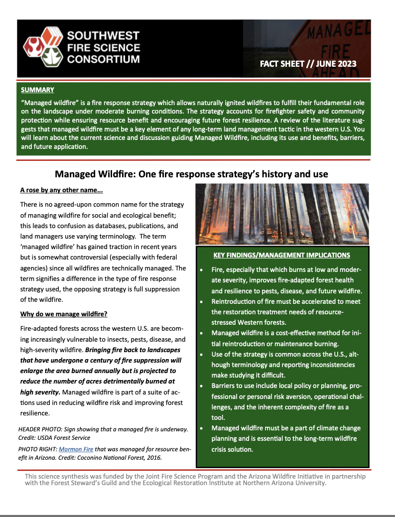 Read more about the article Managed Fire Fact Sheet