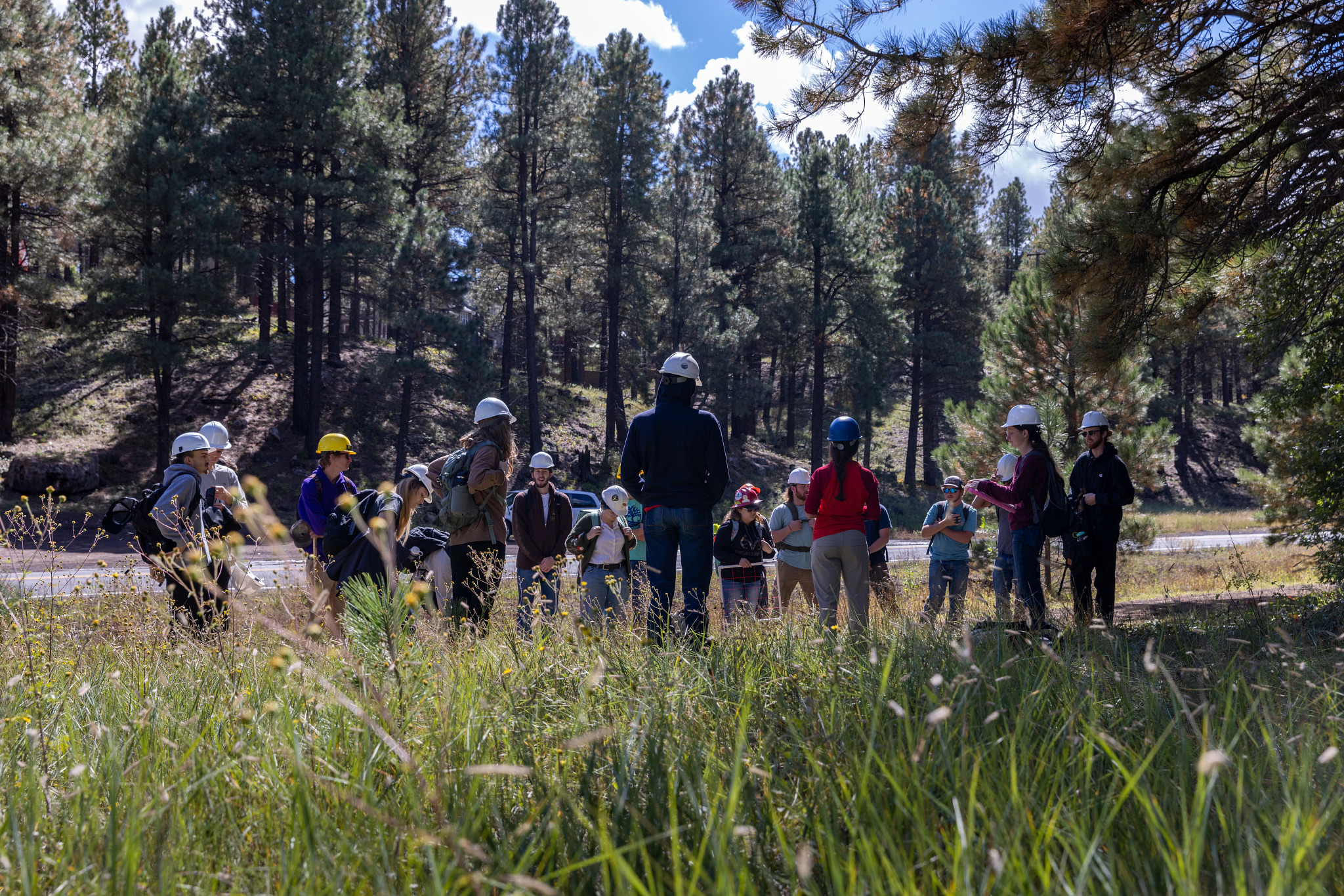 You are currently viewing Assistant Teaching Professor in Forestry, Fire Ecology, and Natural Resource Management (NAU)