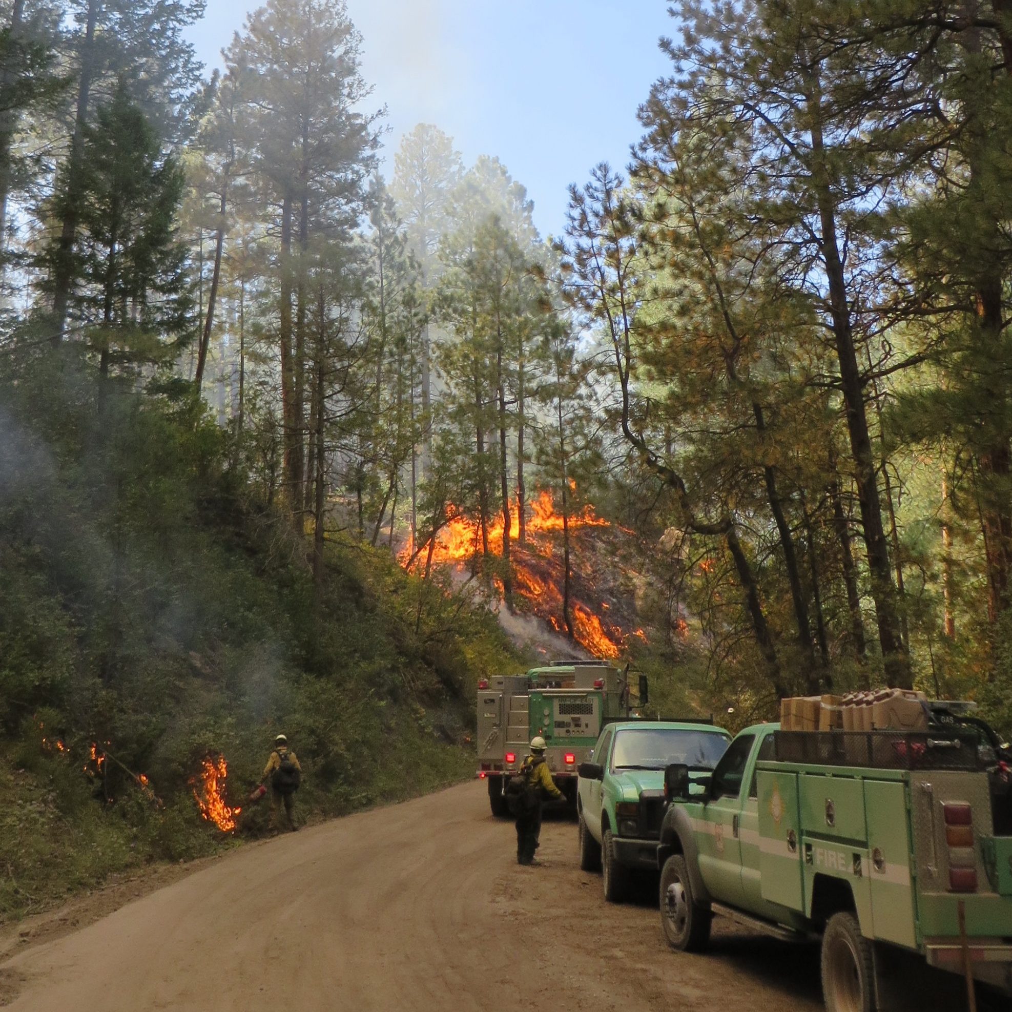 Read more about the article AZWI Forestry, Fire and Climate Tribal Liaison Work on Education and Workforce Development 