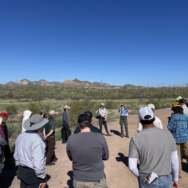 People standing outside in the Sonoran Desert during Southwest Fire Science Consortium's 2024 Field Trip