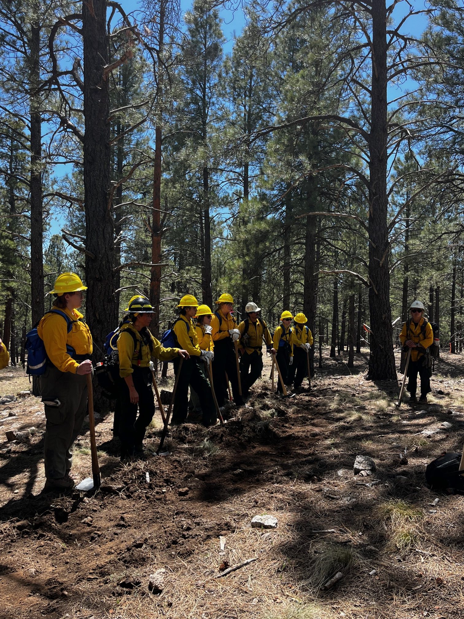 Read more about the article Field Day for Women in Wildland Fire!