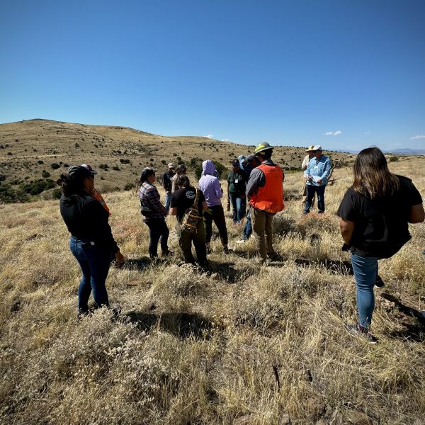 Field trip participants stand in arid grassland. Pinyon junipers dot the landscape on the hills in the background.